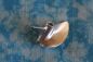 Preview: CNC Alu Propeller 50/2 x1,9 Fahrfertig links