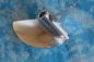 Preview: CNC Alu Propeller 70/2 x1,9 Fahrfertig rechts