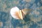 Preview: CNC Alu Propeller 50/2 x1,4 Fahrfertig, rechts (5014253)